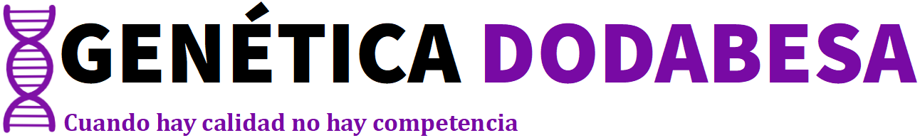 Genética Dodabesa